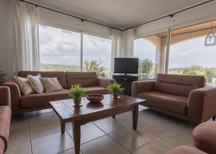 Domaine Oliveraie 10 Aigne (Herault)